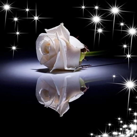 ruth_charlot